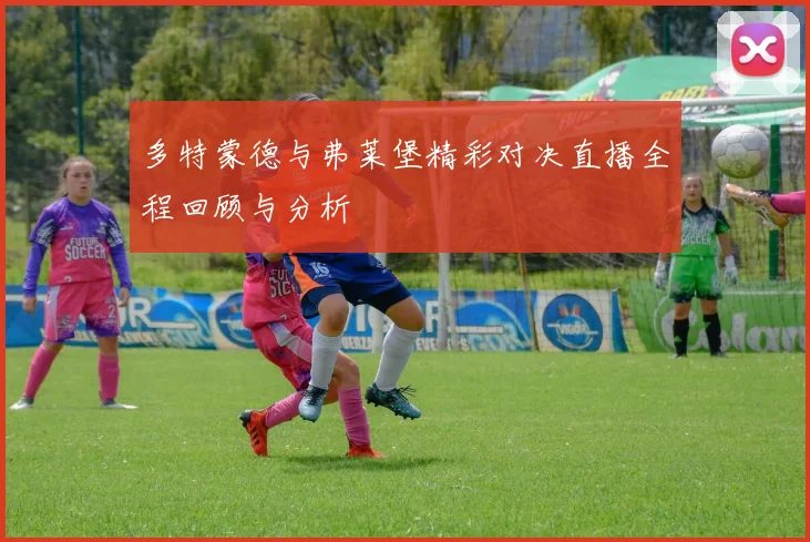 多特蒙德与弗莱堡精彩对决直播全程回顾与分析