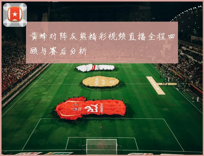 黄蜂对阵灰熊精彩视频直播全程回顾与赛后分析