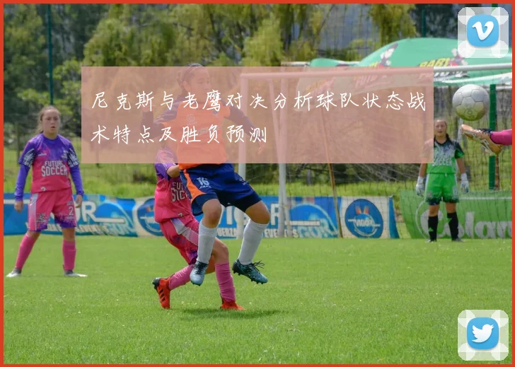 尼克斯与老鹰对决分析球队状态战术特点及胜负预测